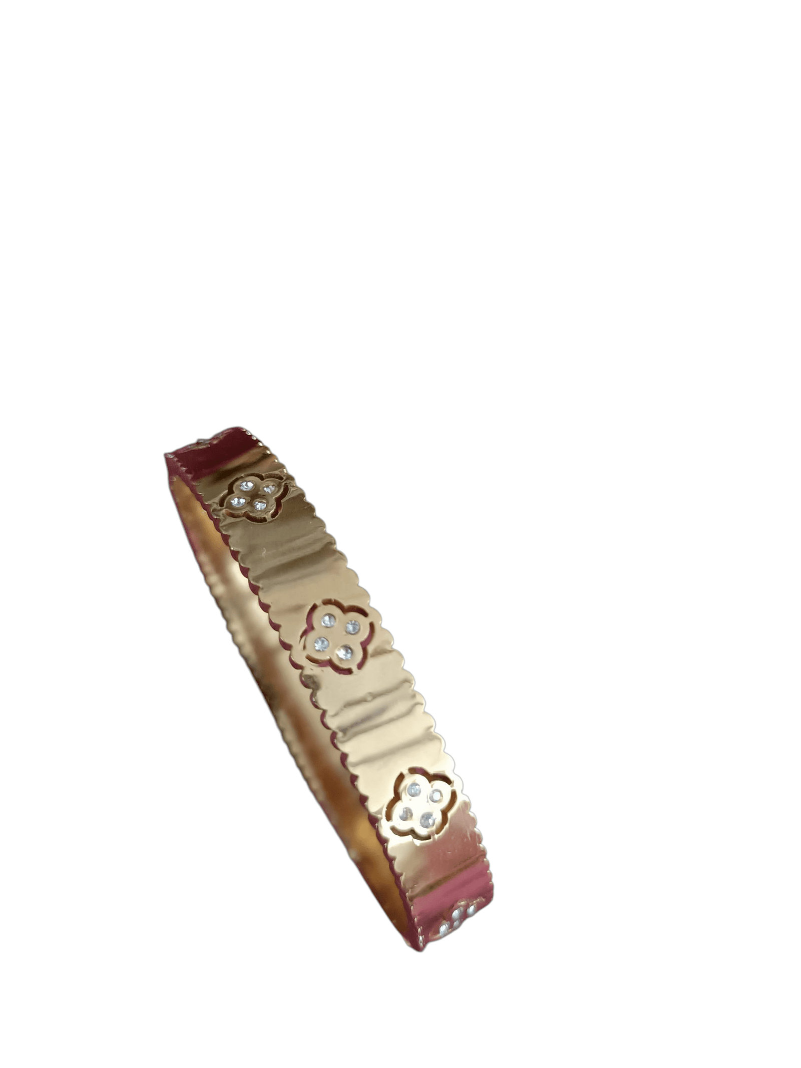 IMG20250820100337 (1) (1)