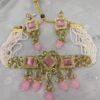 Aaisha Pink Choker Necklace Set